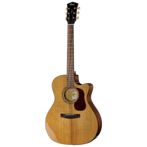 Cort Gold A6 Cort Gold A6