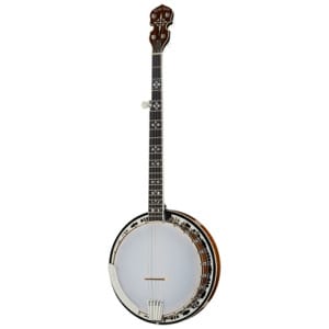 Gold Tone BG-150F Banjo