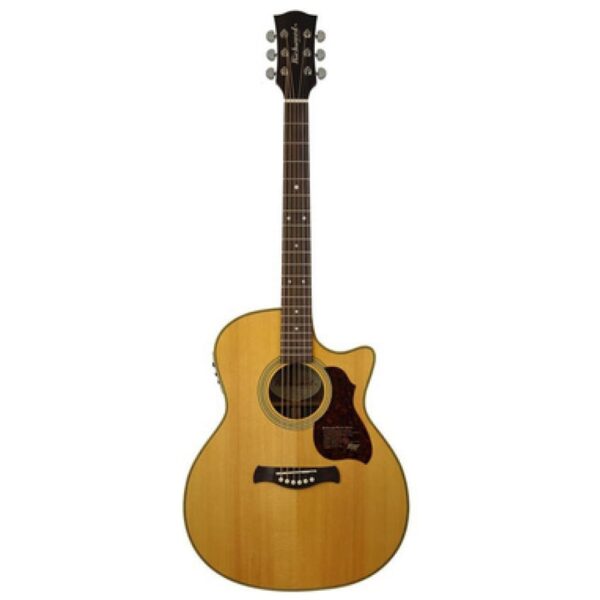 Richwood G-65CE VA Master Series
