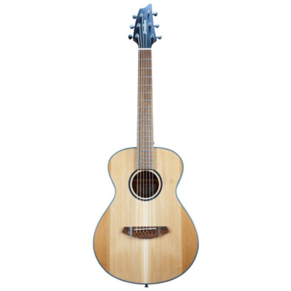 Breedlove Discovery S Companion Breedlove Discovery S Companion